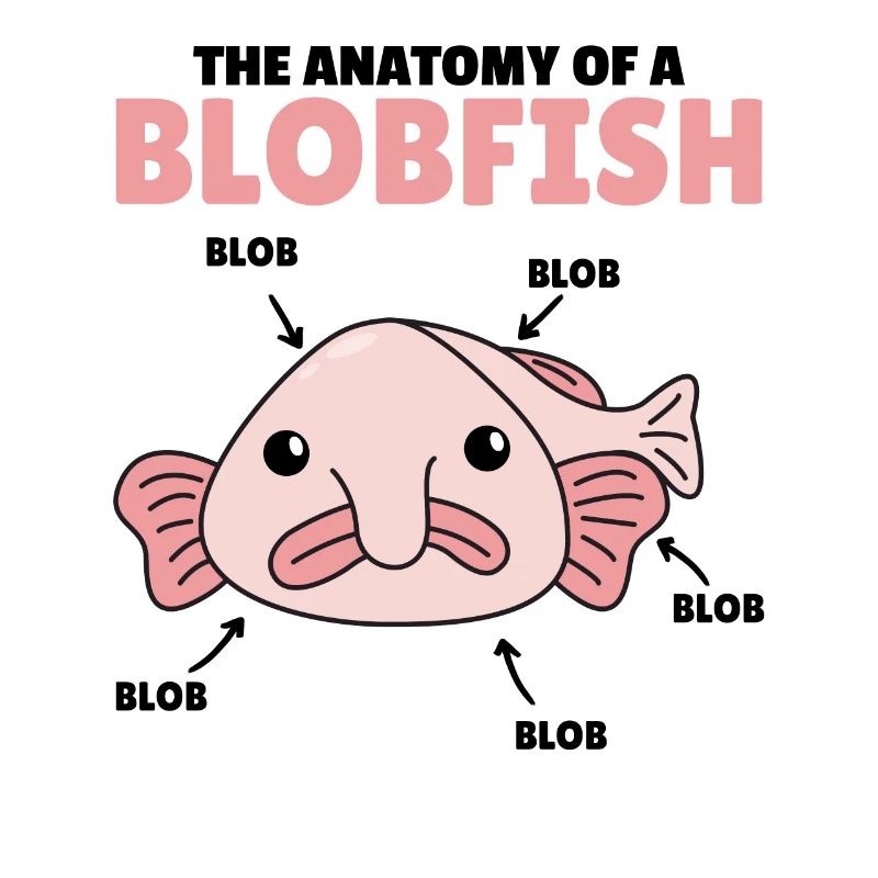 Blobfish Explication Anatomie d’un Blobfish