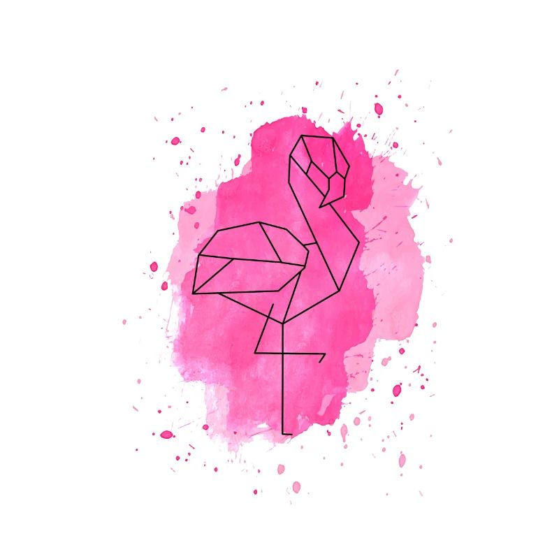 Flamingo splash