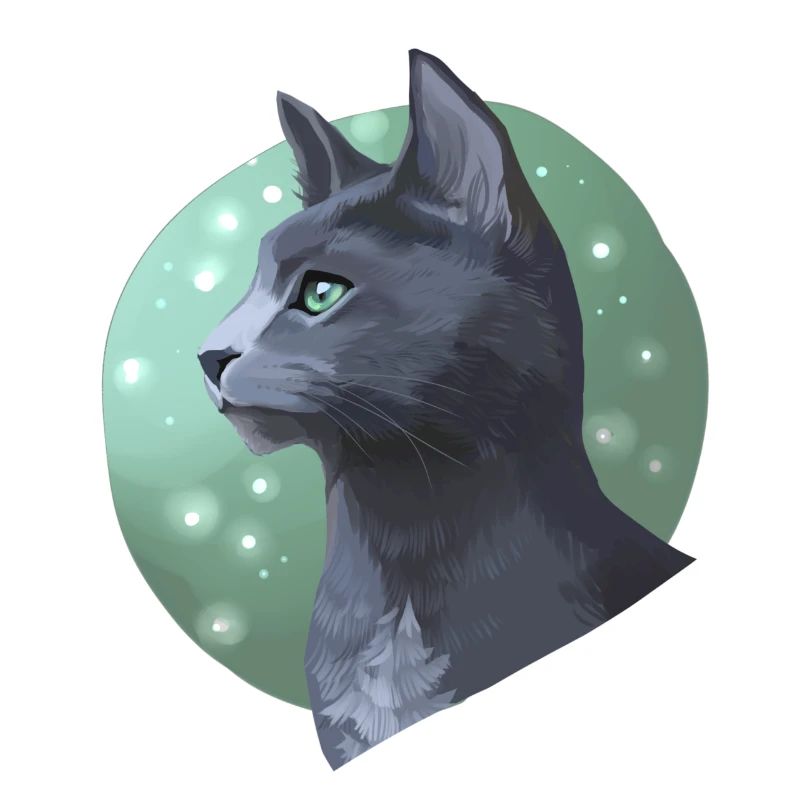 Queue d’aiguille Queue d’aiguille Guerrier Chats Chat gris