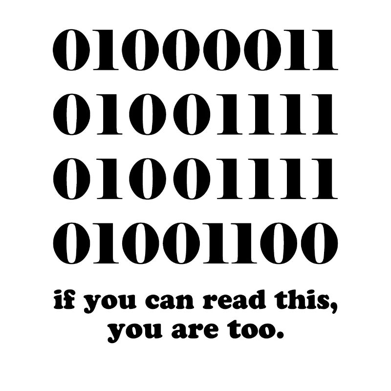 Computer binary code developers gift