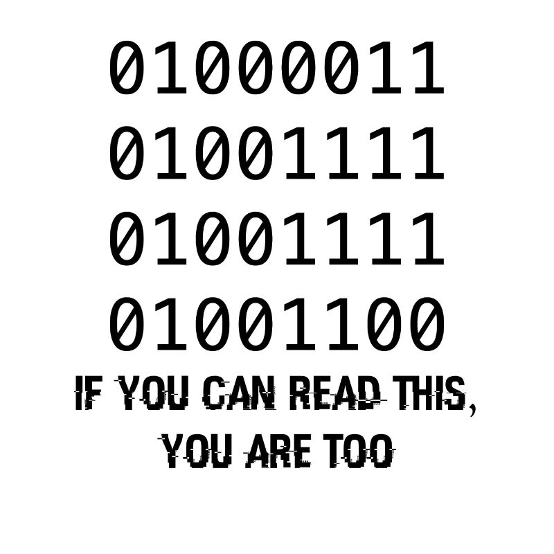 Computer Binary Code Developers Gift