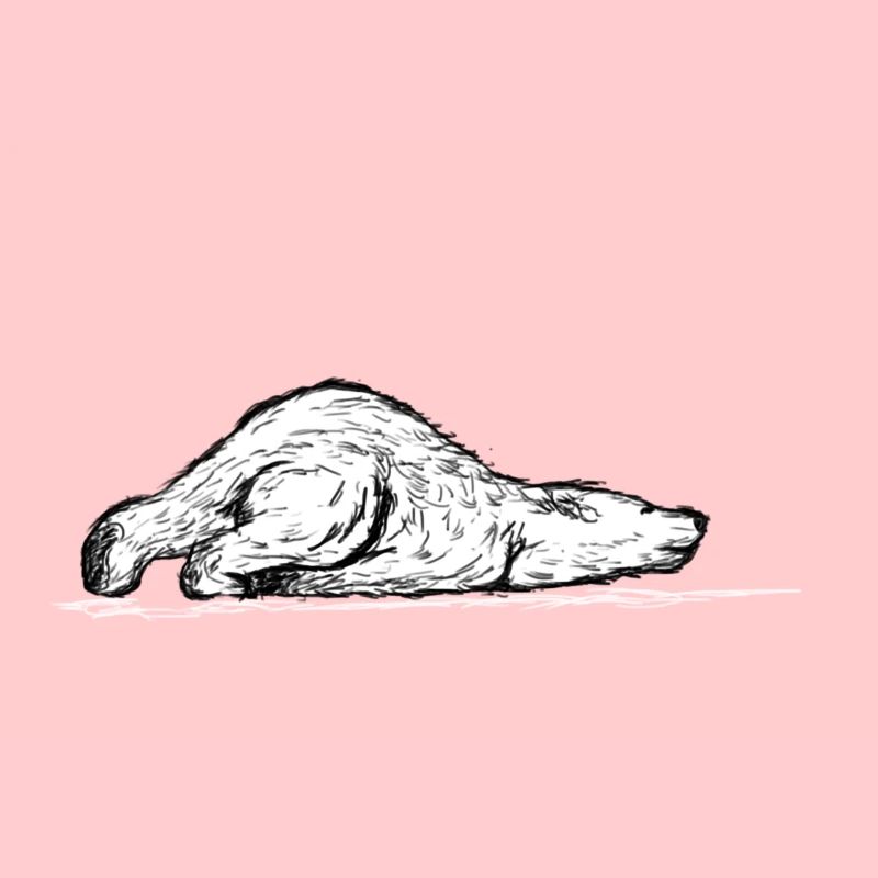 Eisbär