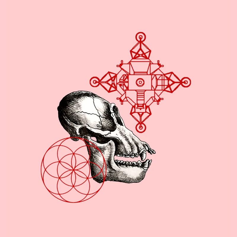 lunar australpithecus