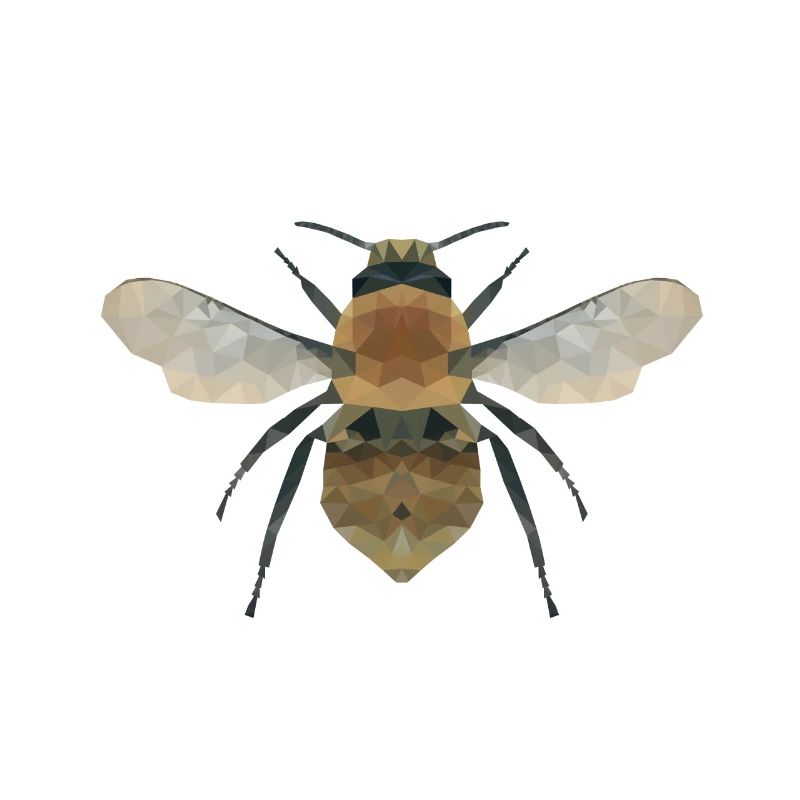 Bee, wasp, bumblebee polygon geometric