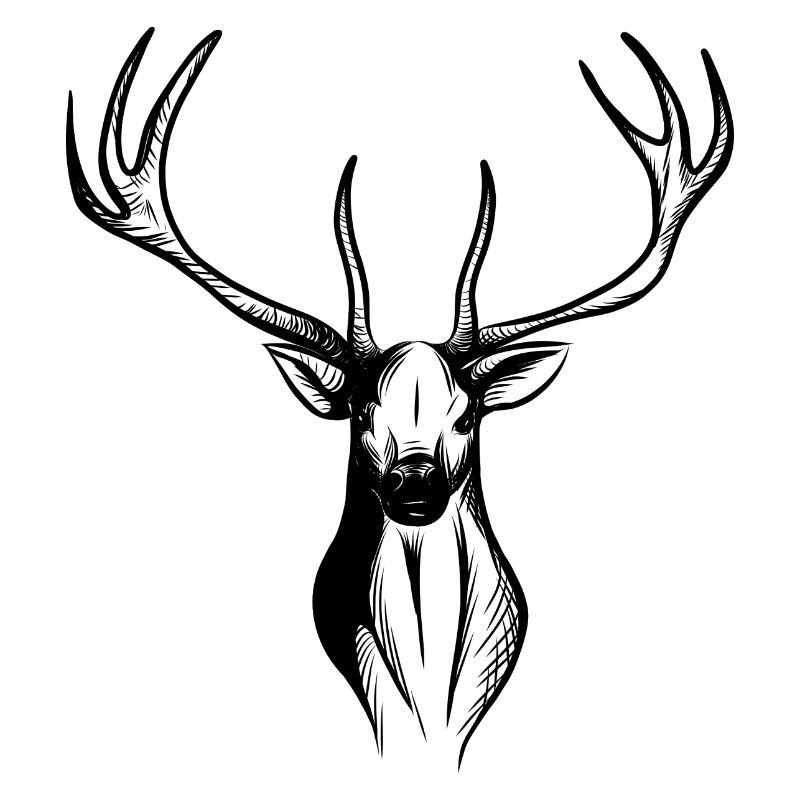 Hirsch