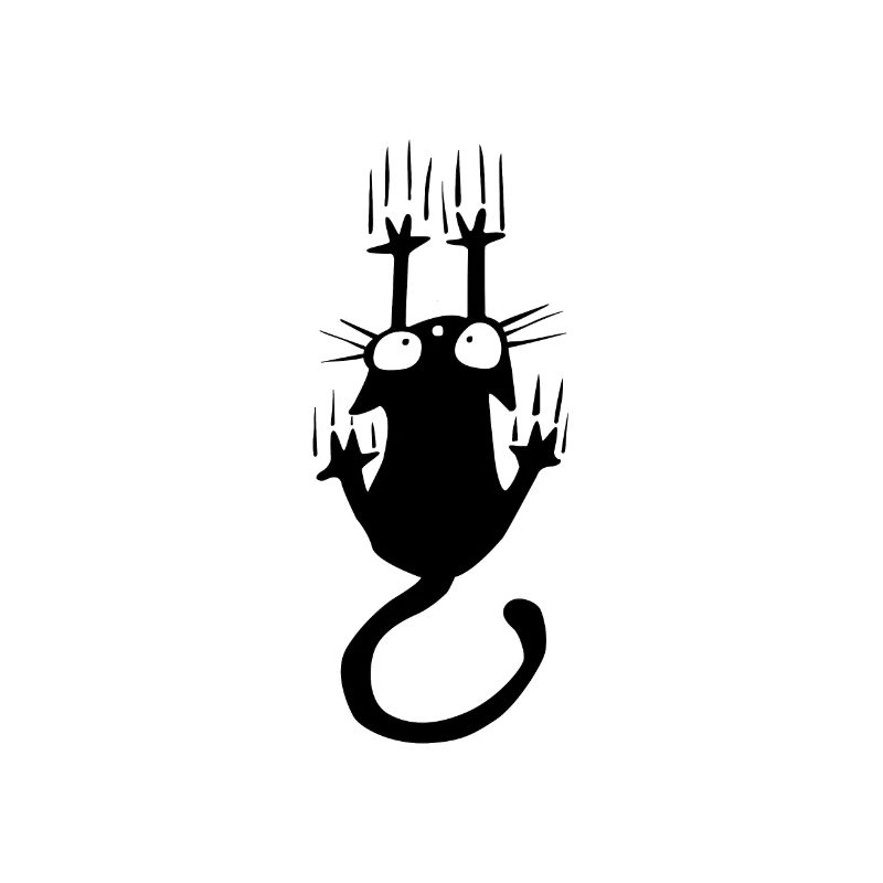 Cat Falling