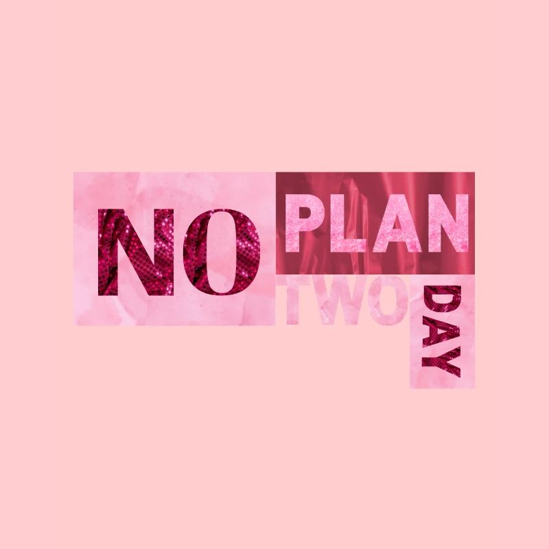 No Plan two day