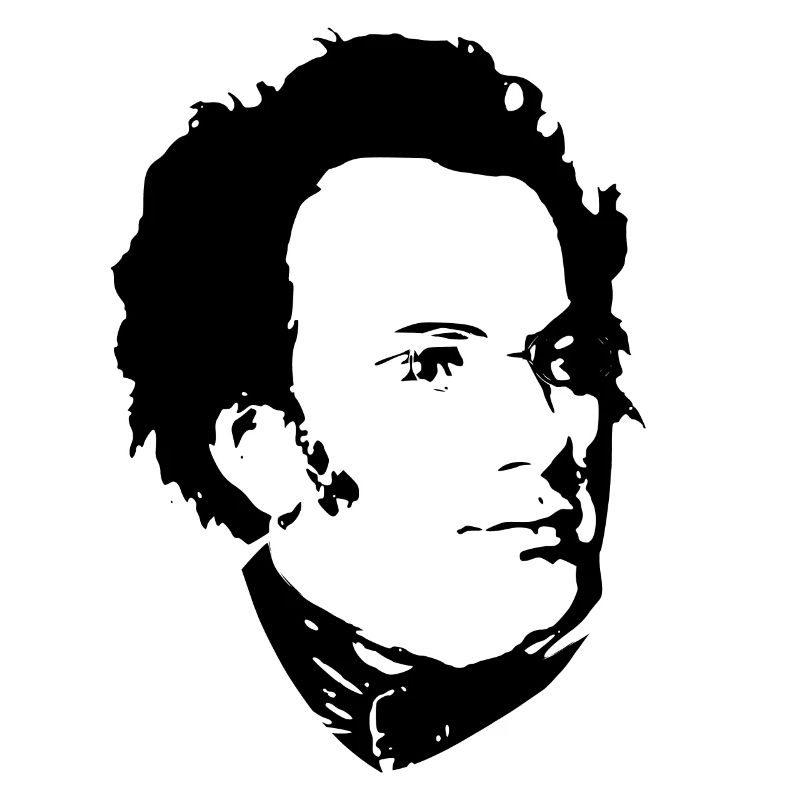 Franz Schubert Black On White