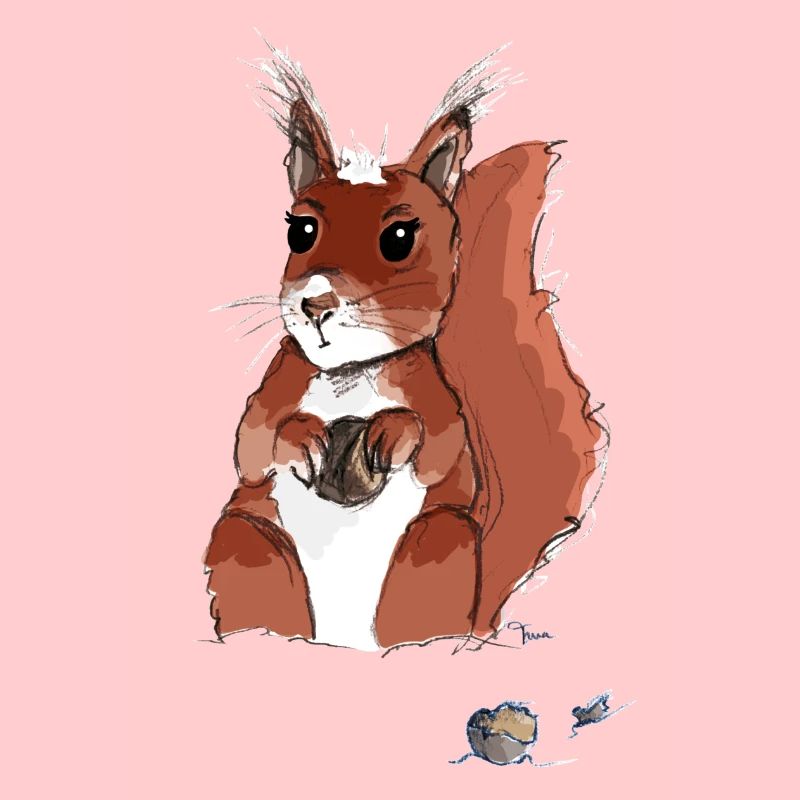 Eichhörnchen