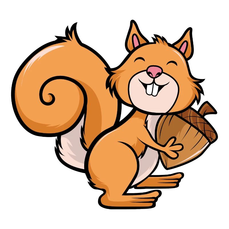 Eichhörnchen