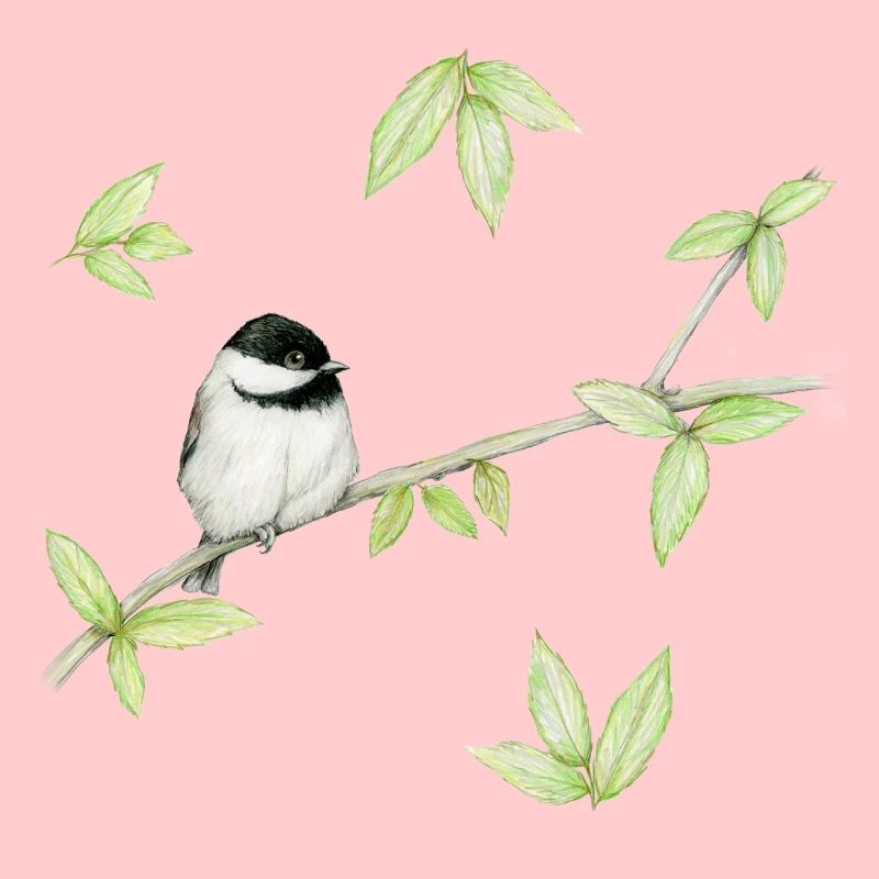 Eine Bleistiftzeichnung eines Mattenkopfes oder Glosskopfes