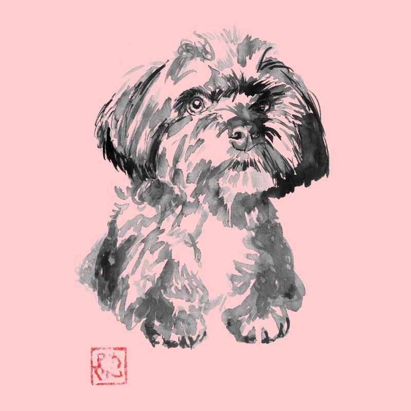 Kleiner Hund