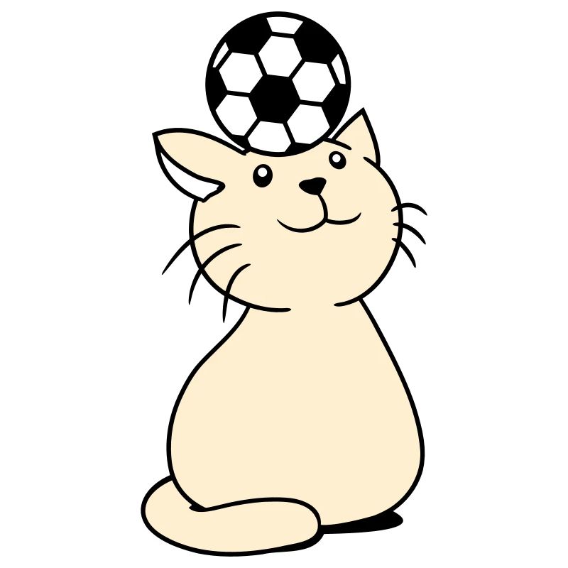 Ball Playing Cat Balancing Football Head Fun