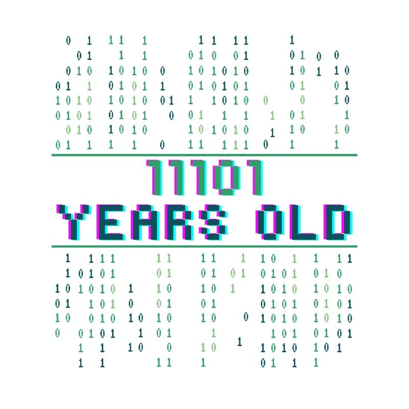 29. Geburtstag 29 Jahre alt Binärcode Coder