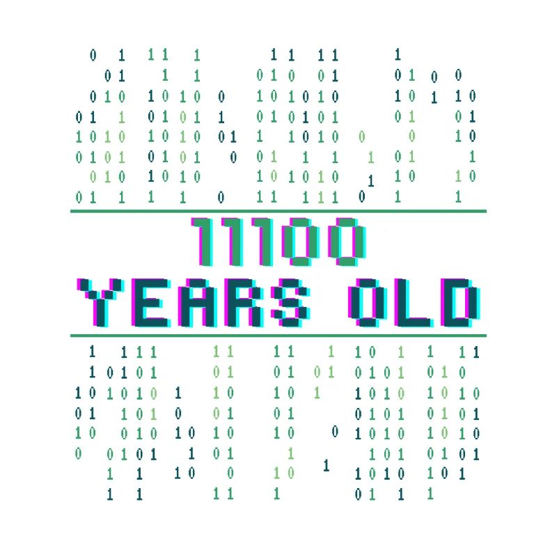 28. Geburtstag 28 Jahre alt Binärcode Coder