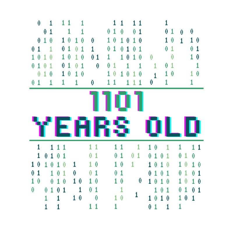13. Geburtstag 13 Jahre alt Binärcode Coder