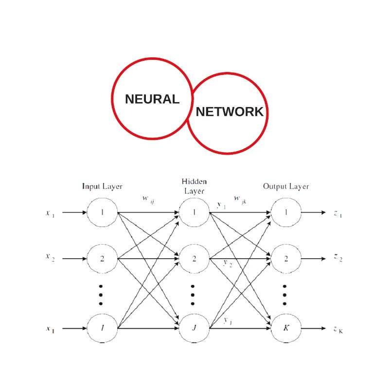 Neuronale Netze