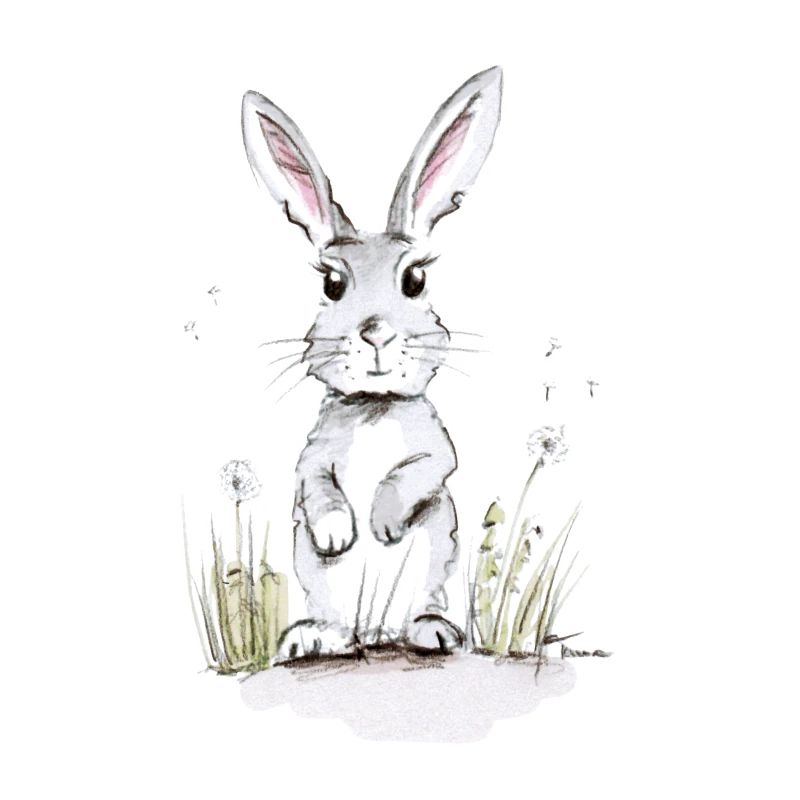 Hare