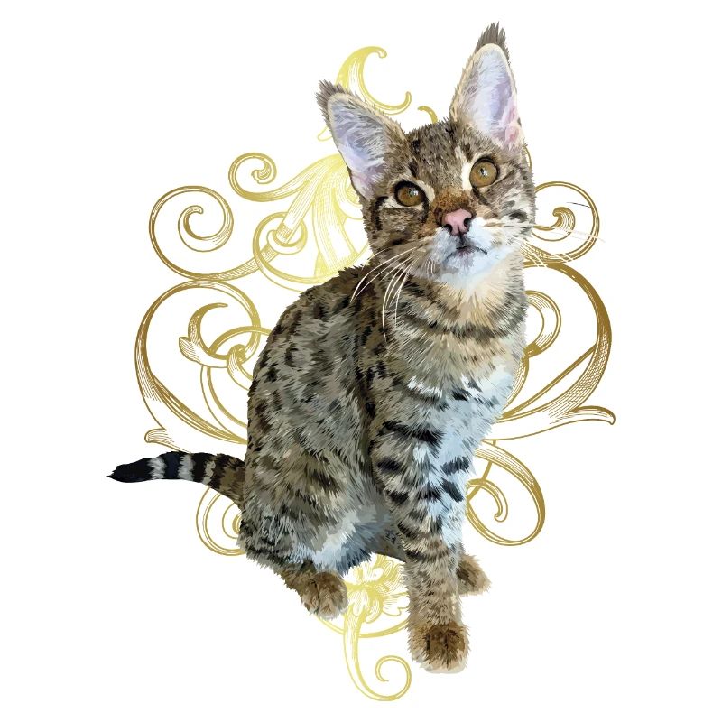 Tabby
