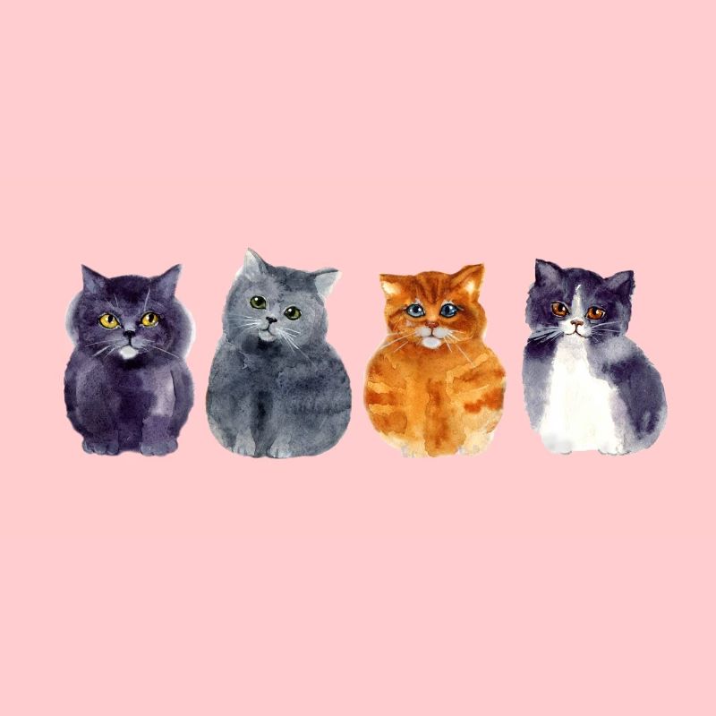 4 Chats