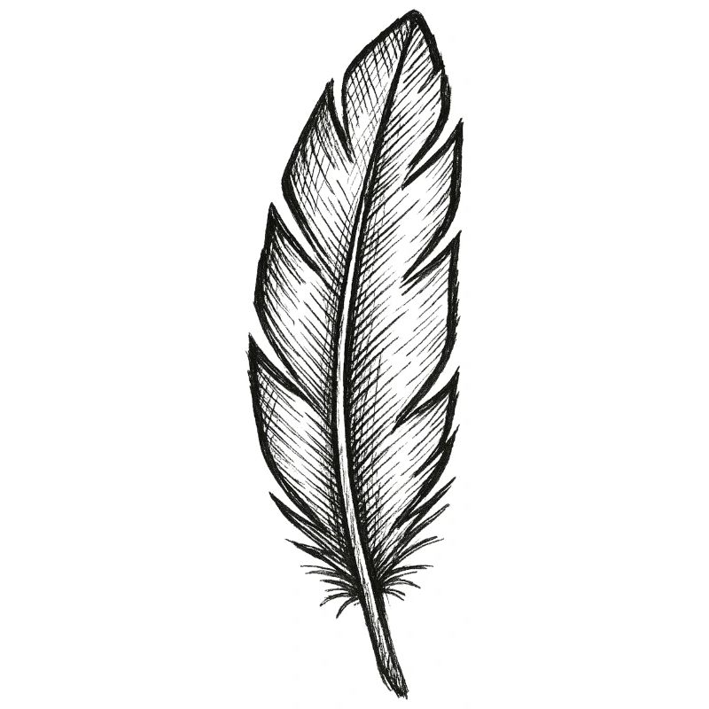 Black feather in night light