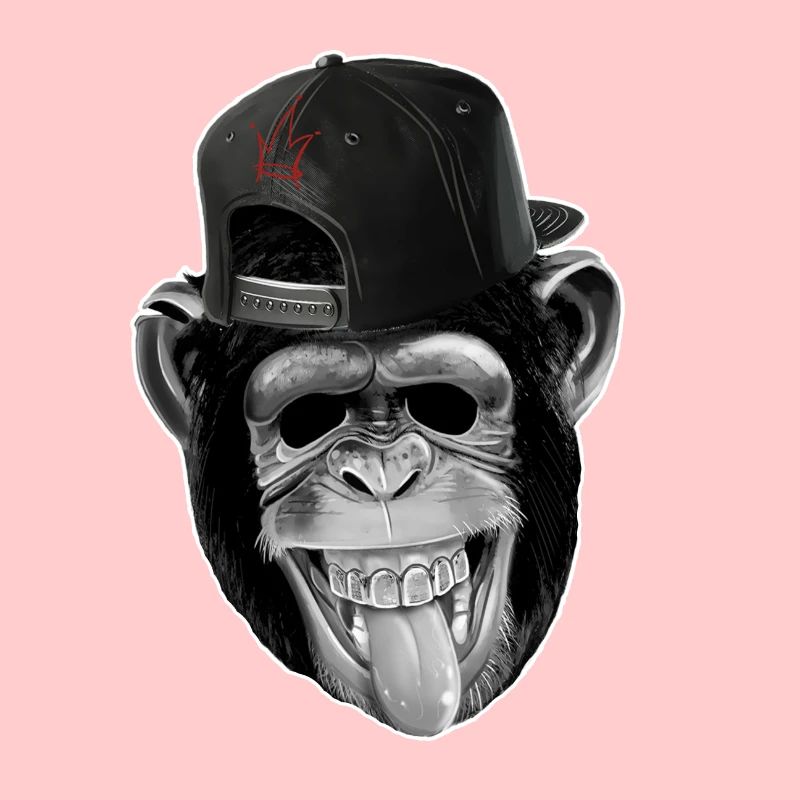 Cool monkey