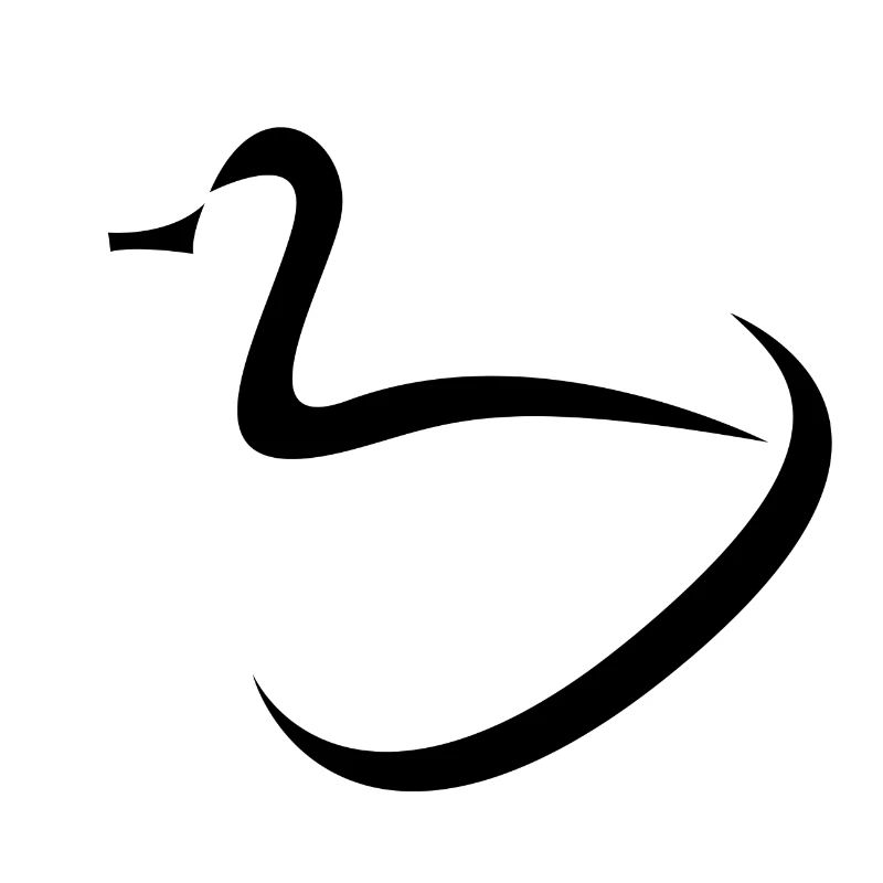 Conception de canards