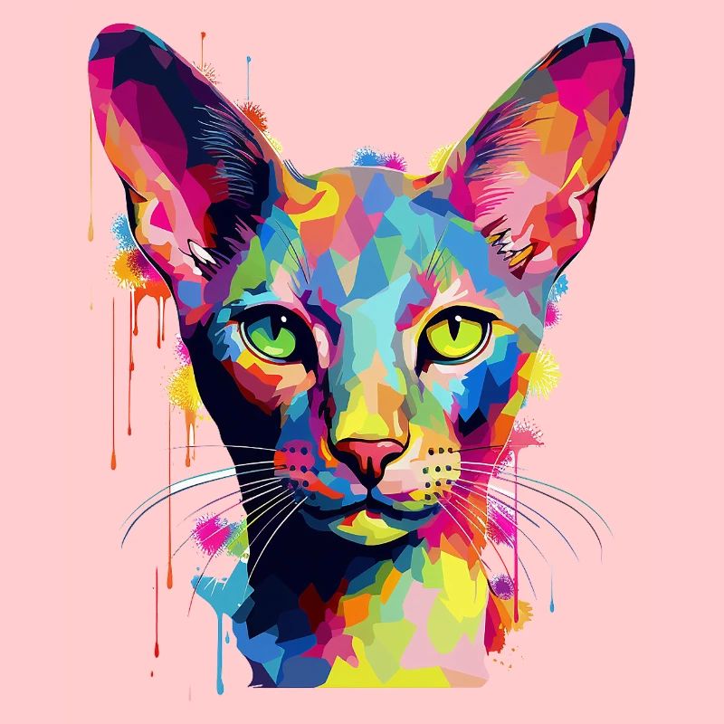 Farbenexplosion Katzenkunst