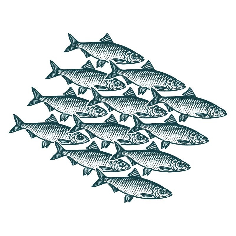 Swarm Intelligence - Essaim de harengs