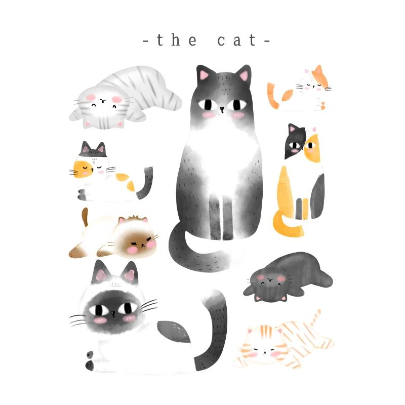 the cat
