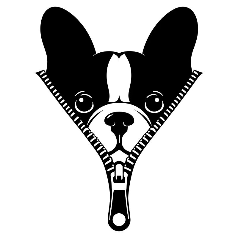 Bouledogue Français dans une fermeture éclair