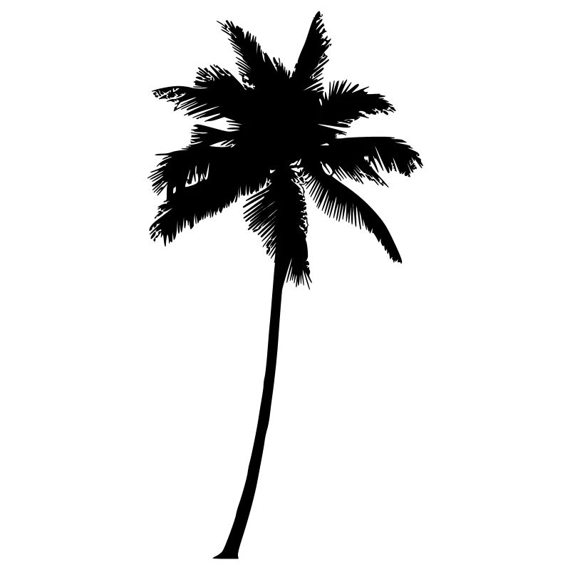 Palm Tree - Palm Tree Palm Tree Black