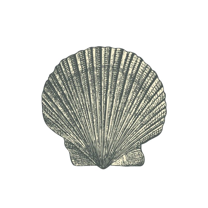 Shellfish