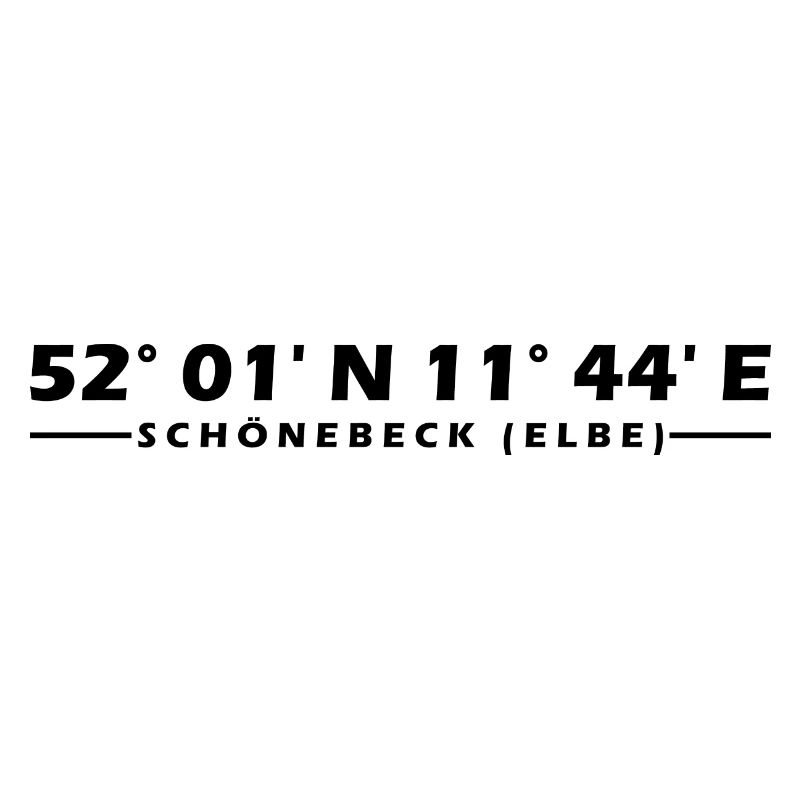 Coordonnées de Schönebeck (Elbe)