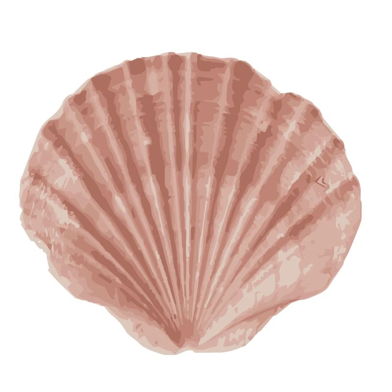 shell