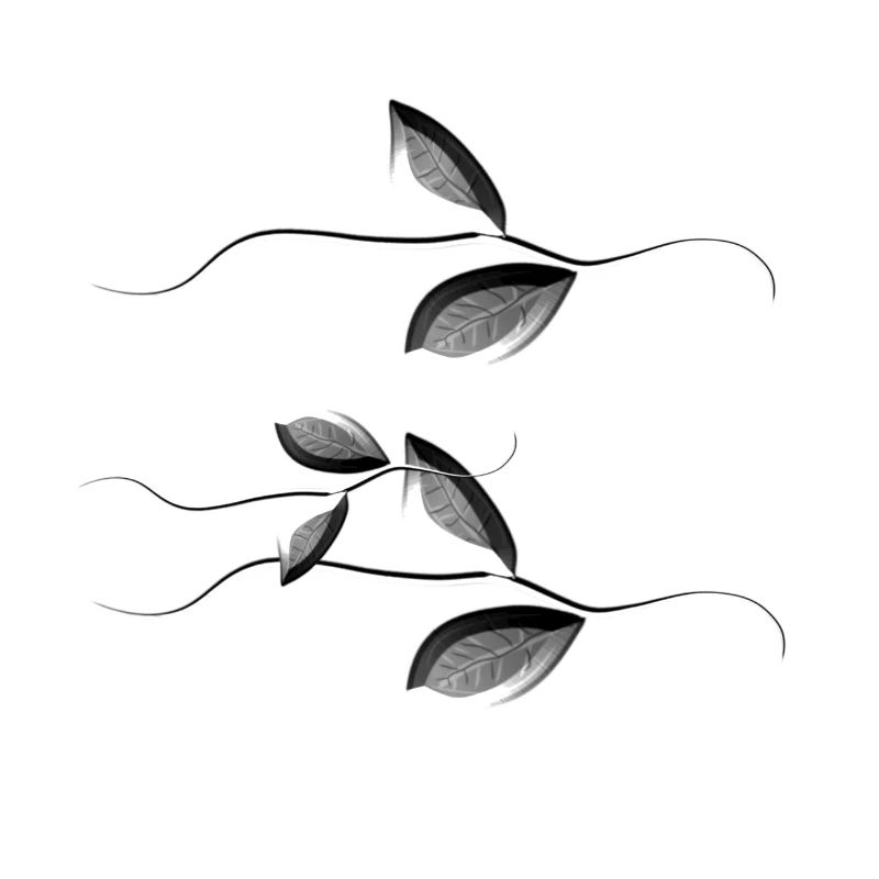 Plant leaves pattern