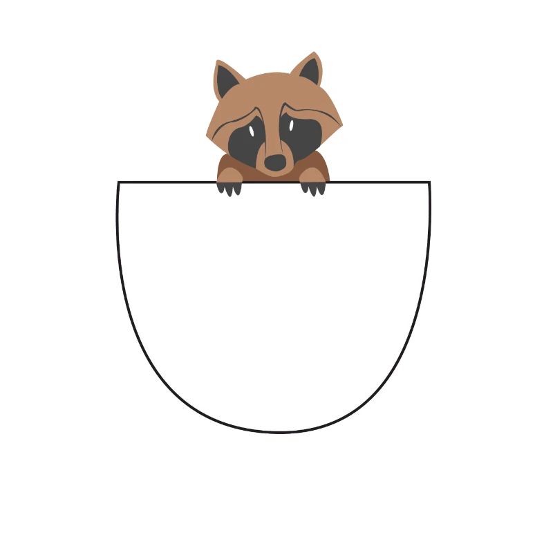 Waschbär Bauchtasche Süß Geschenkidee