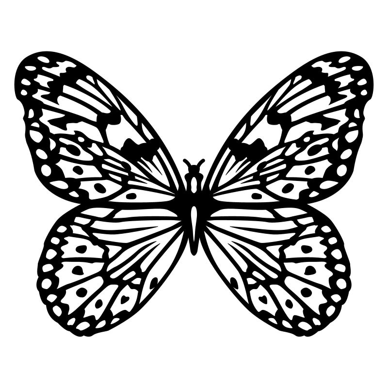 Schmetterling
