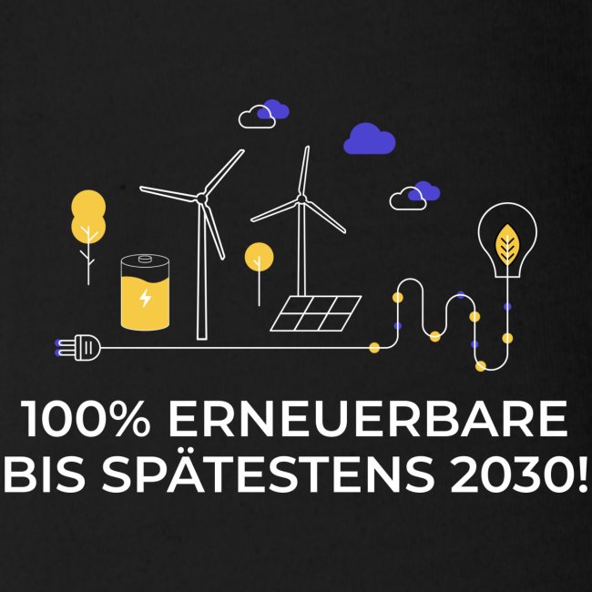 100% Erneuerbare 2030