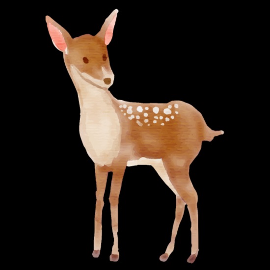 Deer Fawn Deer Cartoon Drawing Forest Animal Animals' Organic Short-Sleeved  Baby Bodysuit | Spreadshirt
