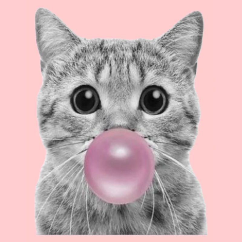 Bubble Cat