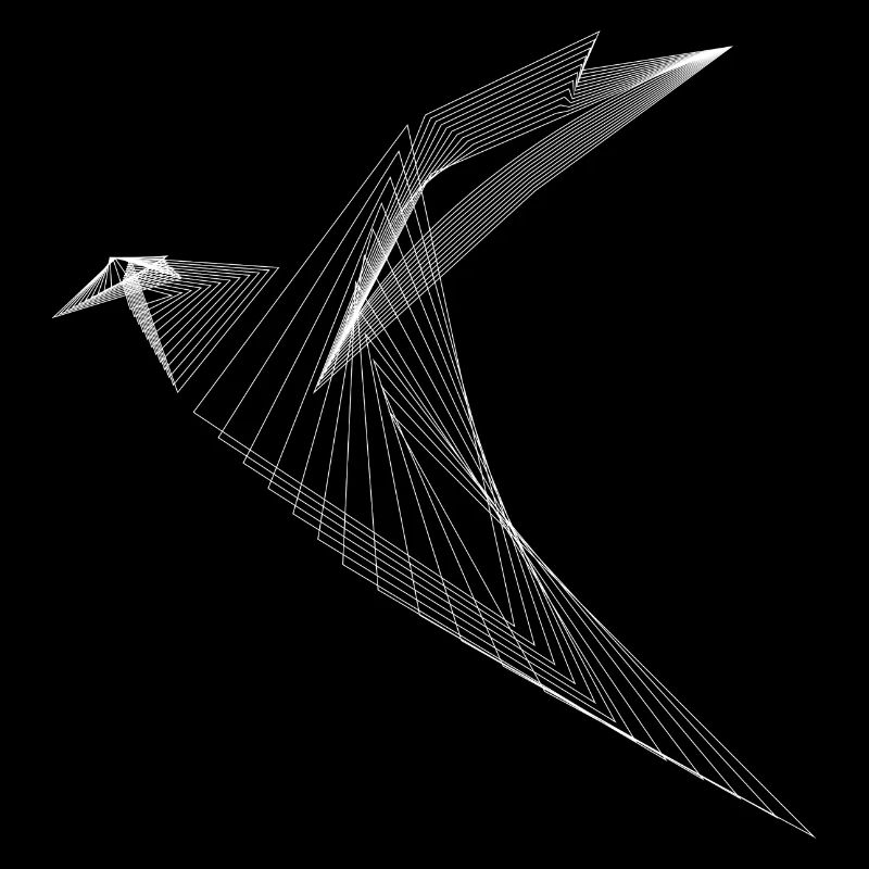 Lignes géométriques Oiseaux Minimal Design