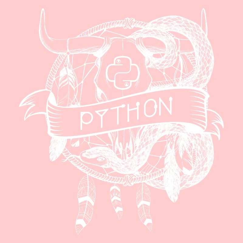 technologie de langage de programmation python