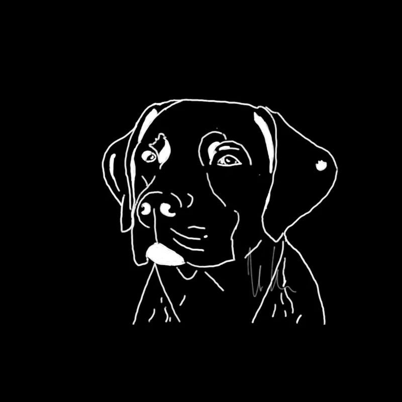 Labrador