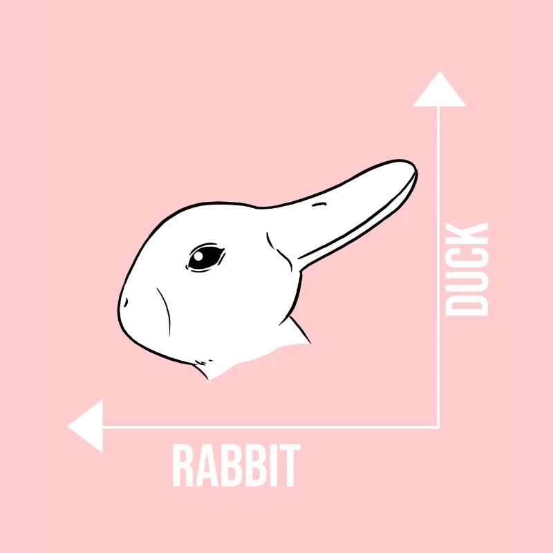 Illusion d'optique lapin canard illusion