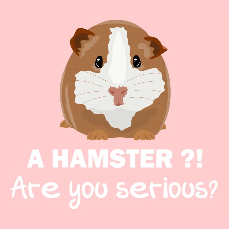 Pas de hamster - cadeau de cochon d'Inde