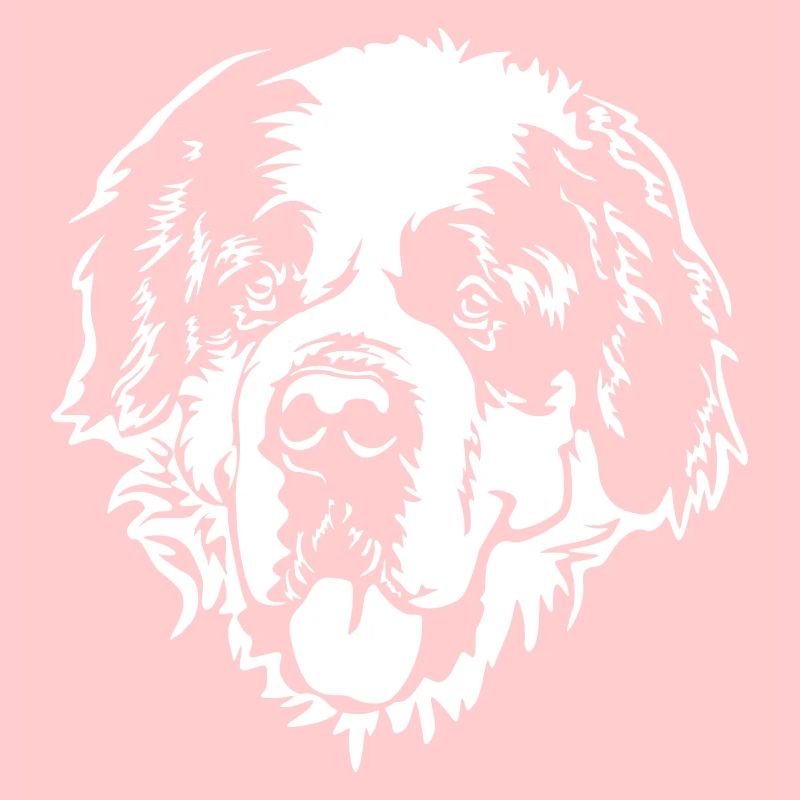 St. Bernard Head "BLack Edition"