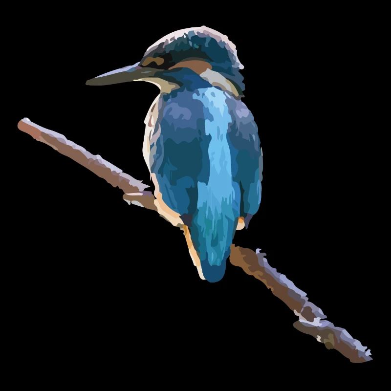 Eisvogel