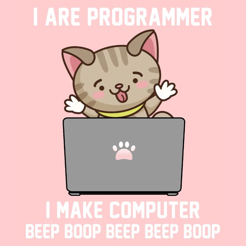 Programmeur