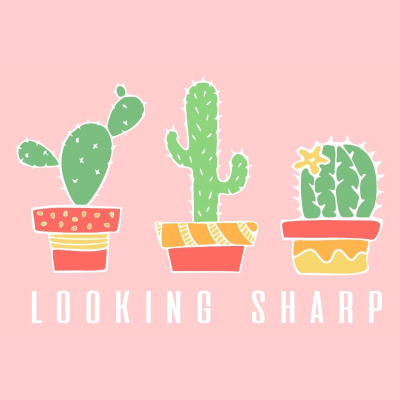 Looking Sharp Cactus